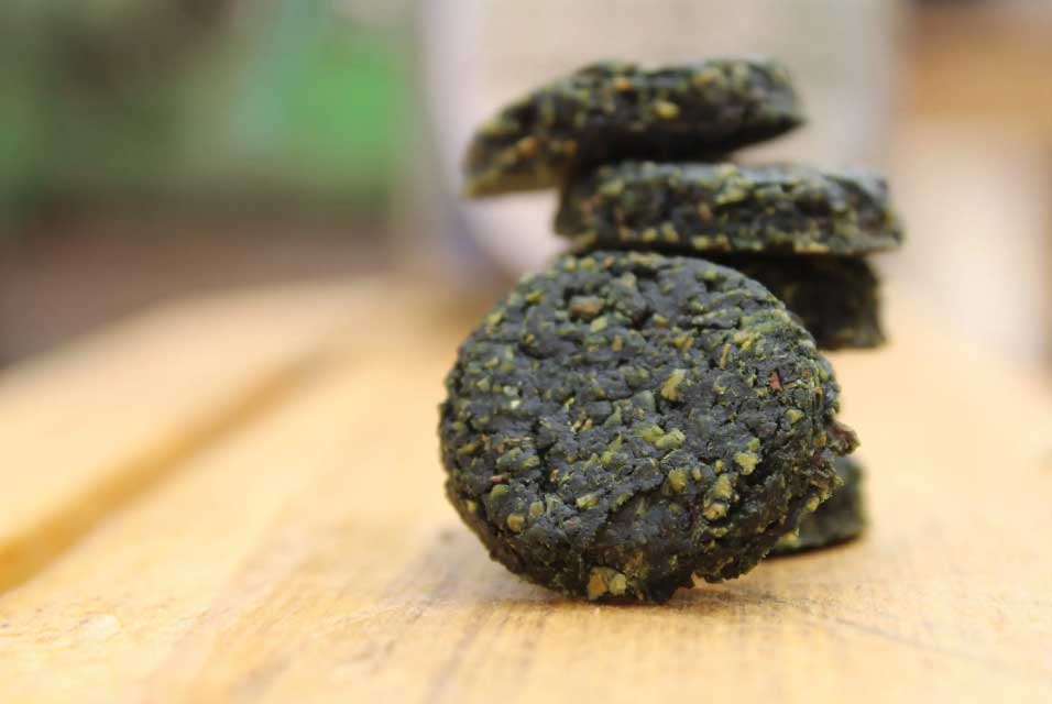 Algaldo_receta_Trufas_Coco_Chlorella